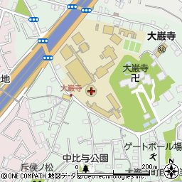 淑徳大学　千葉キャンパス周辺の地図