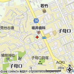 神奈川県川崎市高津区子母口192-11周辺の地図