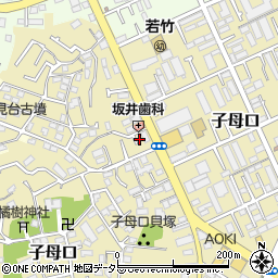 神奈川県川崎市高津区子母口192-8周辺の地図