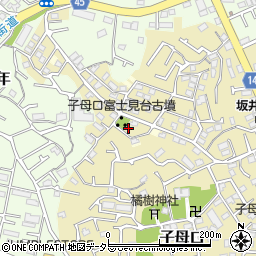 神奈川県川崎市高津区子母口54-241周辺の地図