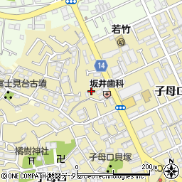 神奈川県川崎市高津区子母口186周辺の地図