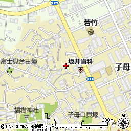 神奈川県川崎市高津区子母口186-5周辺の地図