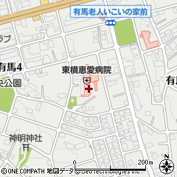 東横惠愛病院周辺の地図