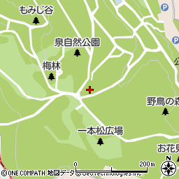 泉自然公園トイレ８（フォレストアドベンチャー脇）周辺の地図