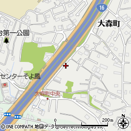 千葉県千葉市中央区大森町216-6周辺の地図