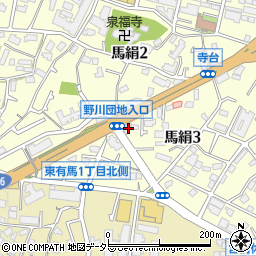 トラストステージ宮崎台周辺の地図