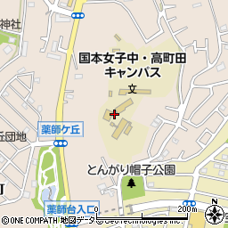 東京都町田市野津田町3102周辺の地図