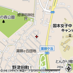 東京都町田市野津田町3210-175周辺の地図