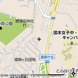 東京都町田市野津田町3210-290周辺の地図