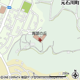 神奈川県横浜市青葉区元石川町6568周辺の地図