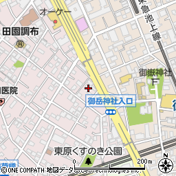 東京都大田区田園調布本町55周辺の地図