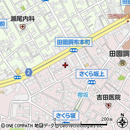 東京都大田区田園調布本町45周辺の地図