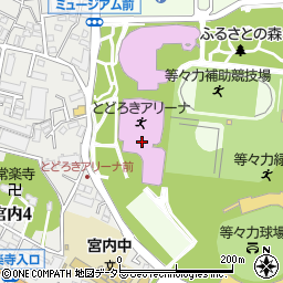 川崎市とどろきアリーナ周辺の地図