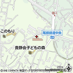東京都町田市常盤町2956-3周辺の地図