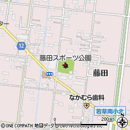 藤田スポーツ公園周辺の地図