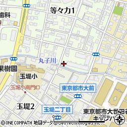 東京都世田谷区等々力1丁目1-9周辺の地図