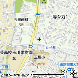 東京都世田谷区等々力1丁目3周辺の地図