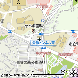 千葉県千葉市中央区青葉町1271-1周辺の地図
