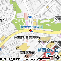 新百合ヶ丘駅入口周辺の地図