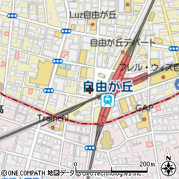 プレシャスクリニック自由が丘周辺の地図