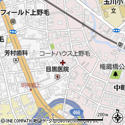 コートハウス上野毛２号棟周辺の地図