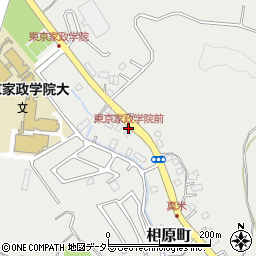 東京家政学院前周辺の地図