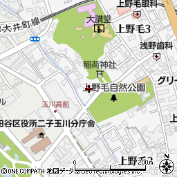 東京都世田谷区上野毛3丁目22周辺の地図