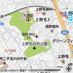 東京都世田谷区上野毛3丁目6周辺の地図