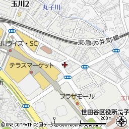 東京都世田谷区玉川1丁目17-9周辺の地図