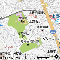 東京都世田谷区上野毛3丁目7周辺の地図