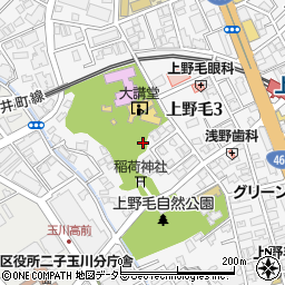 東京都世田谷区上野毛3丁目8周辺の地図