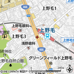 上野毛駅周辺の地図
