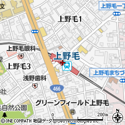 上野毛駅周辺の地図