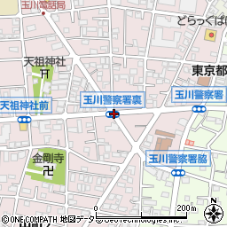 玉川警察署裏周辺の地図