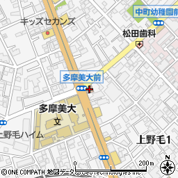 世田谷上野毛郵便局周辺の地図