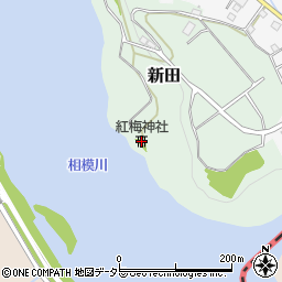 紅梅神社周辺の地図