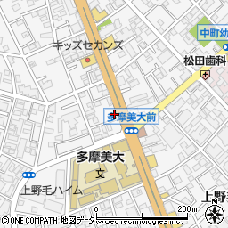プラシッダ TAJ 上野毛店周辺の地図