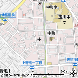 カティコ上野毛周辺の地図