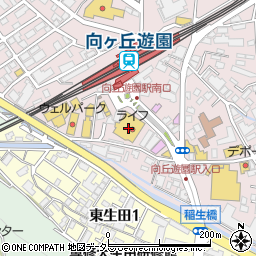 セリア向ヶ丘遊園駅前店周辺の地図