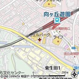 ウェルパーク向ヶ丘遊園薬局店周辺の地図