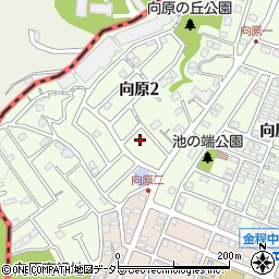 神奈川県川崎市麻生区向原2丁目16周辺の地図