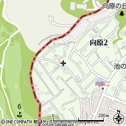 神奈川県川崎市麻生区向原2丁目14周辺の地図