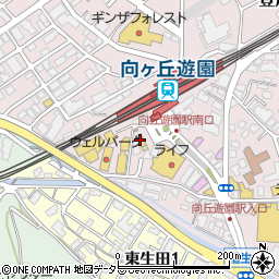 マクドナルド向ヶ丘遊園駅前店周辺の地図