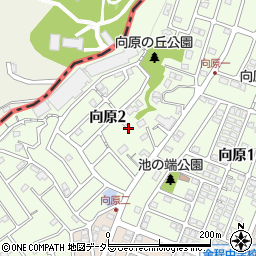神奈川県川崎市麻生区向原2丁目17周辺の地図