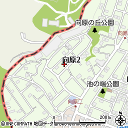 神奈川県川崎市麻生区向原2丁目23周辺の地図