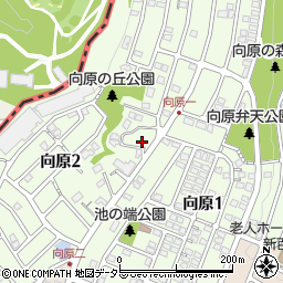 神奈川県川崎市麻生区向原2丁目19周辺の地図