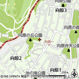 神奈川県川崎市麻生区向原2丁目20周辺の地図