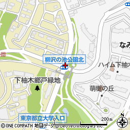 柳沢周辺の地図
