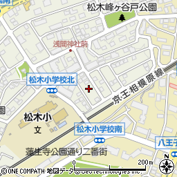 東京都八王子市松木44周辺の地図