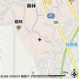 福井県敦賀市櫛林7-10周辺の地図